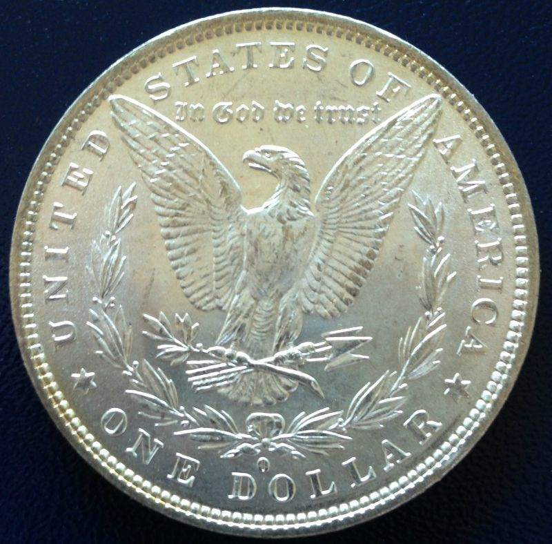 Common-Morgans-And-Chipped-Peace