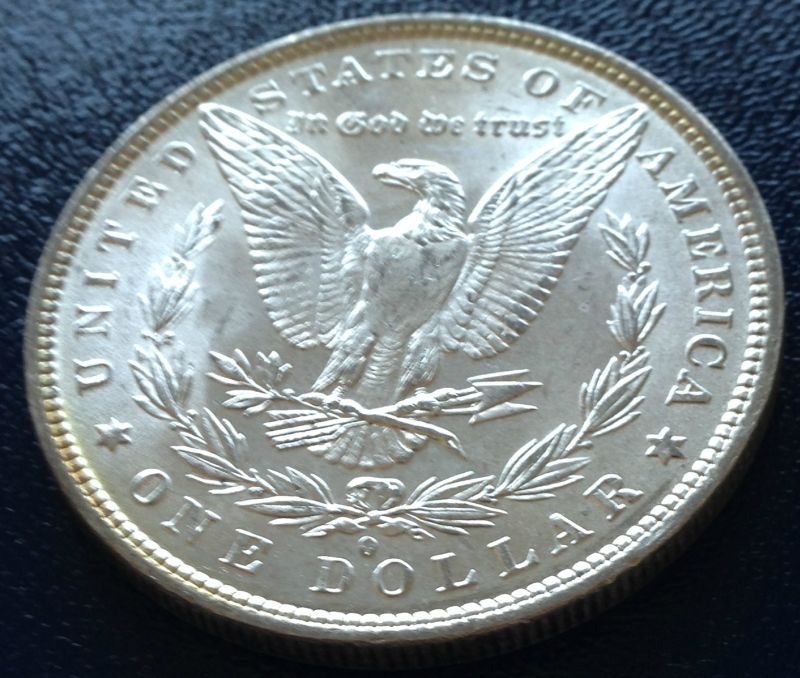 Common-Morgans-And-Chipped-Peace