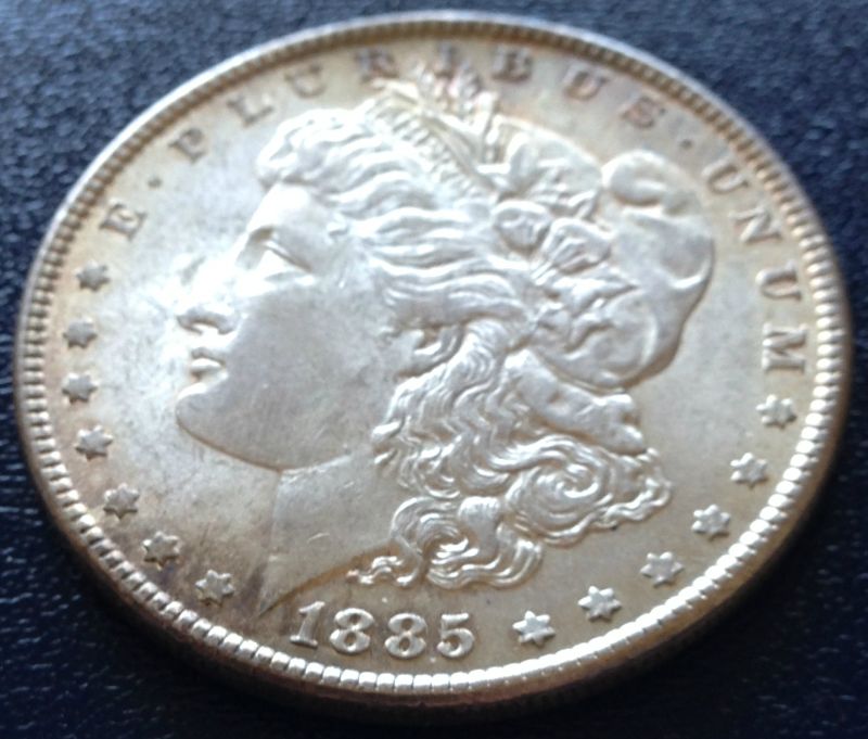Common-Morgans-And-Chipped-Peace