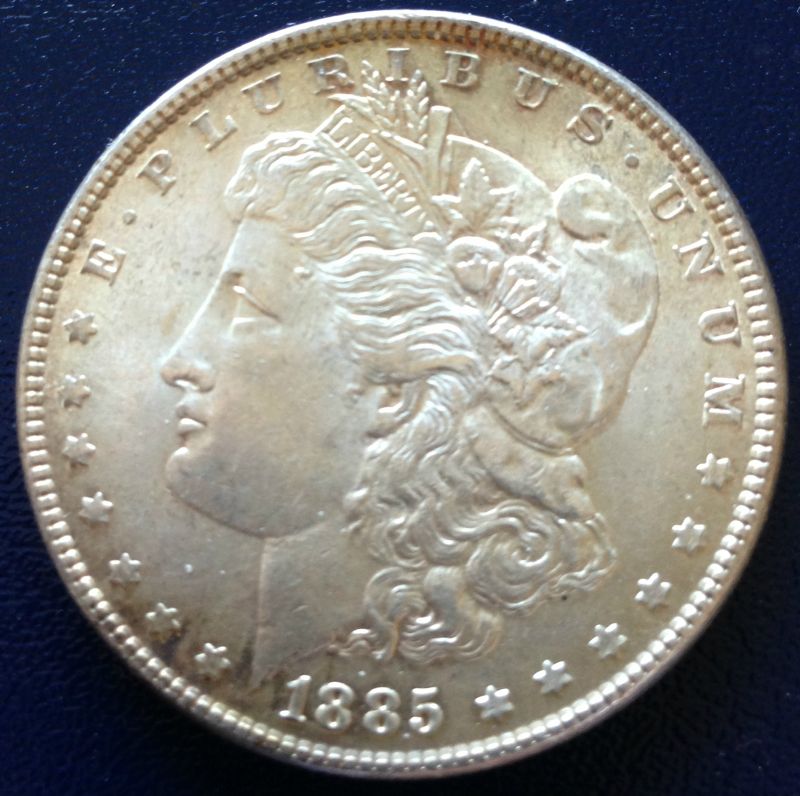 Common-Morgans-And-Chipped-Peace
