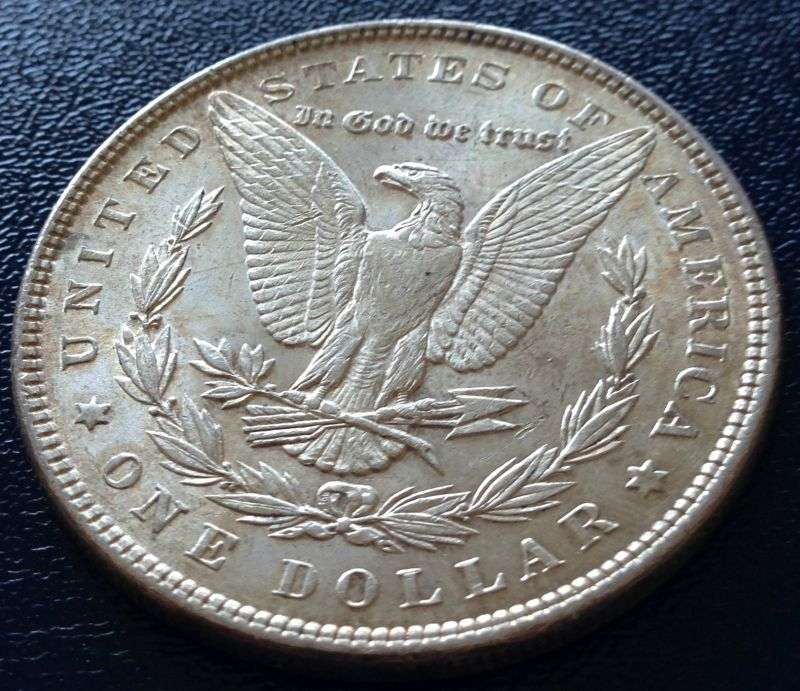 Common-Morgans-And-Chipped-Peace