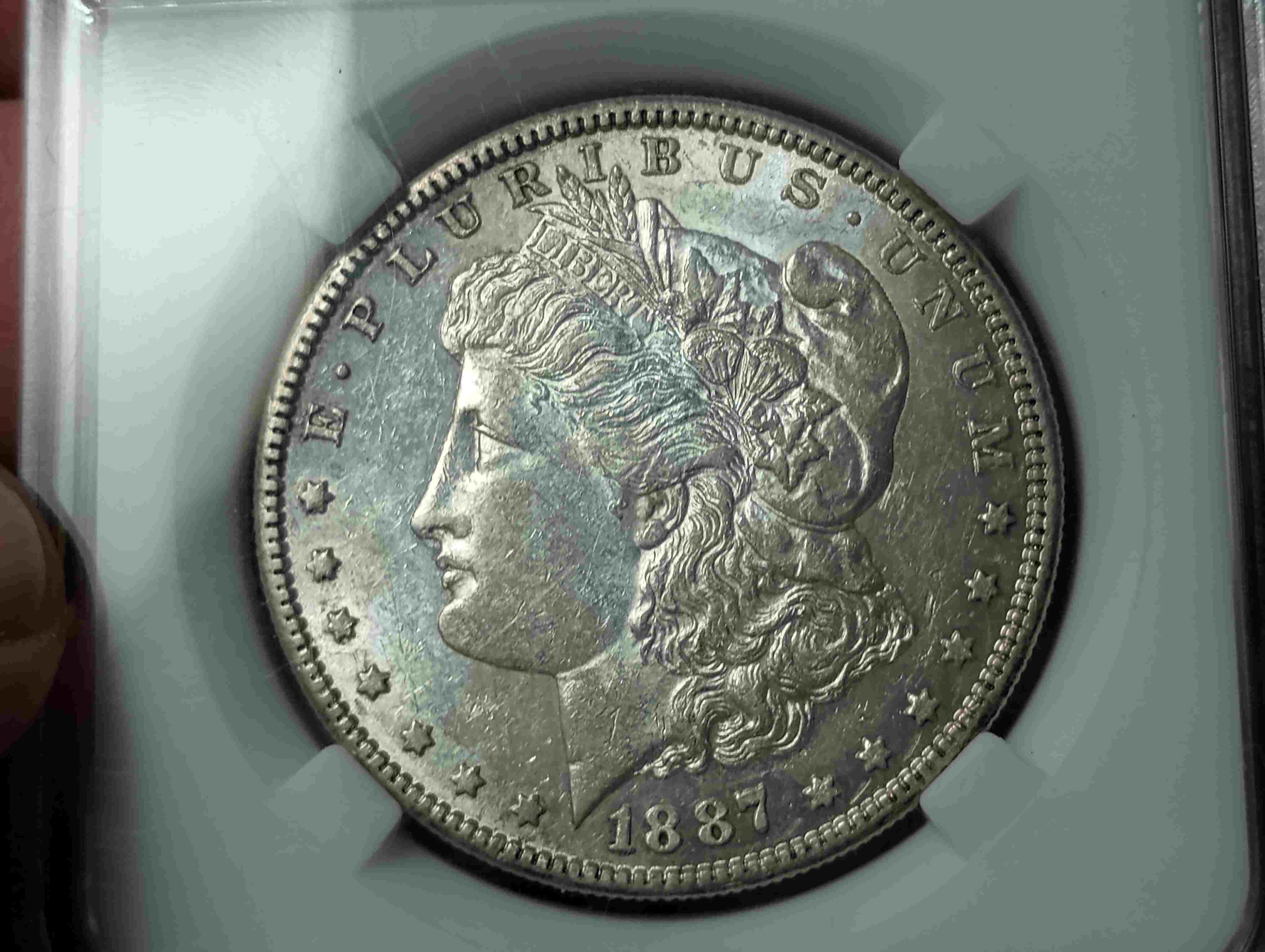Another-1887-S-Morgan-Opinion-Requested