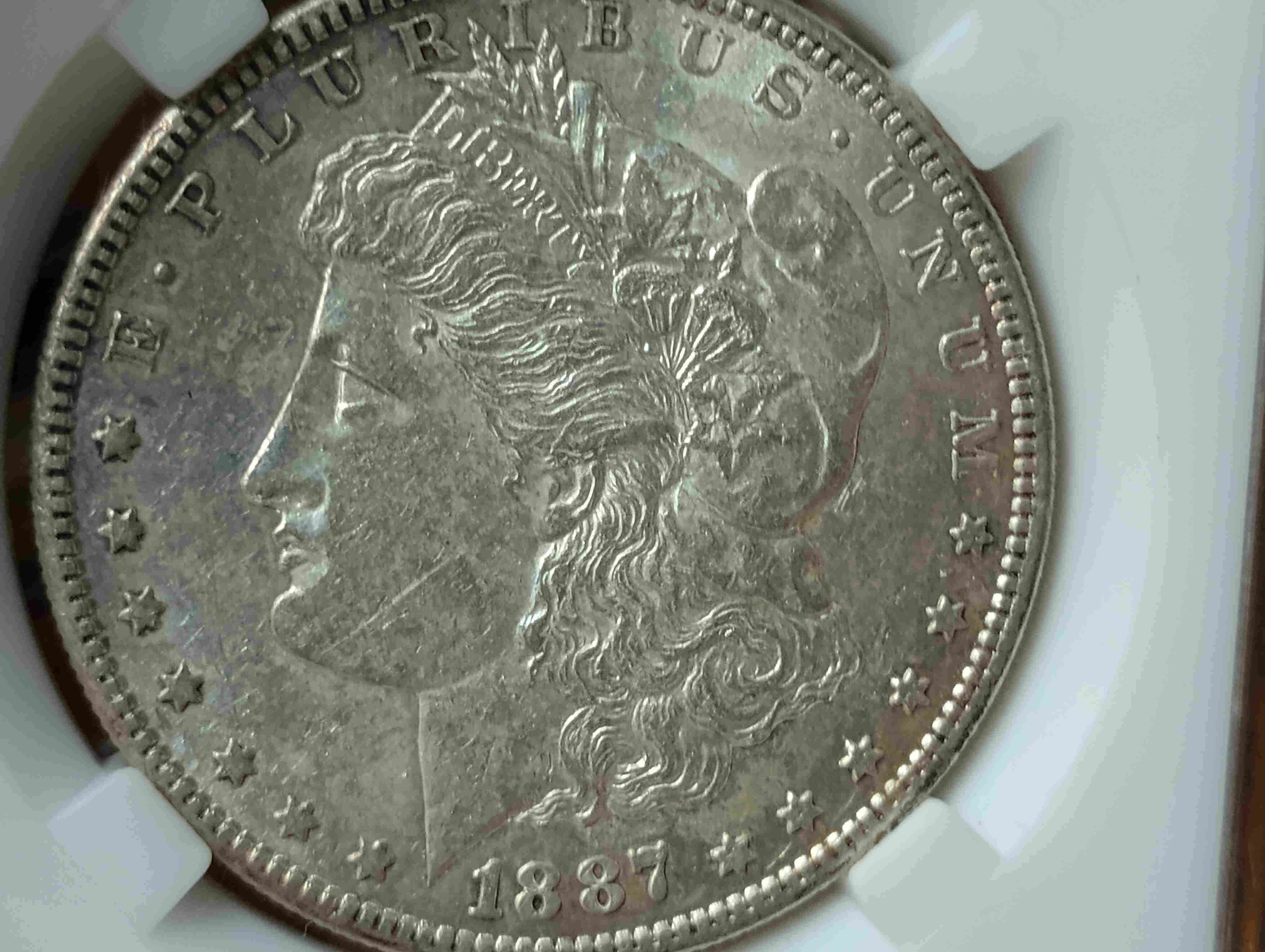 Another-1887-S-Morgan-Opinion-Requested