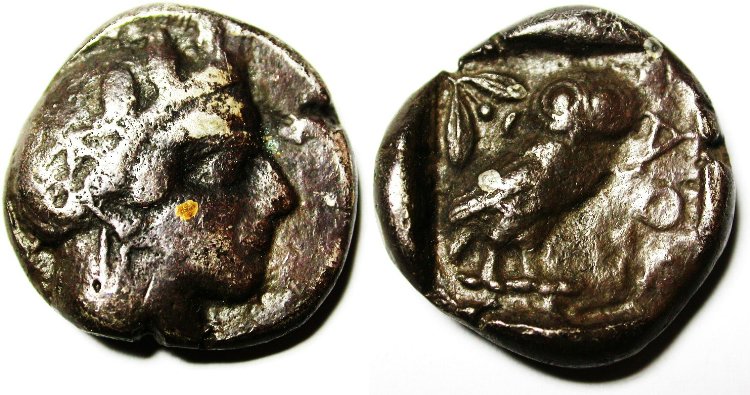 Is-This-Owl-Authentic?