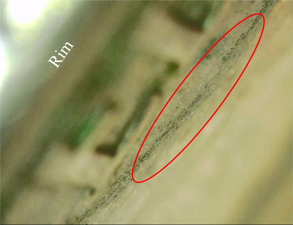 2001-D-Washington-Quarter---Interesting-Clad-Layer-Problem