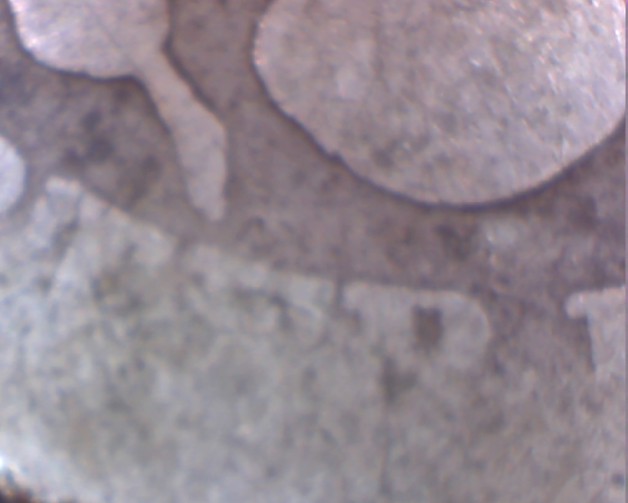 Is-There-An-S-On-This-Barber-Quarter?