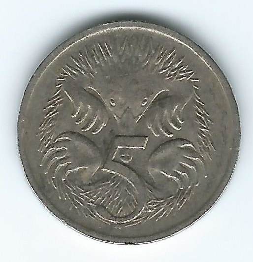 Noodling-Find-Of-The-Week?