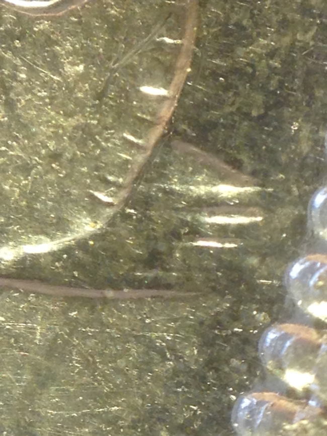 1955-Silver-Dollar-Arnprior-Or-Swl,……..but…..