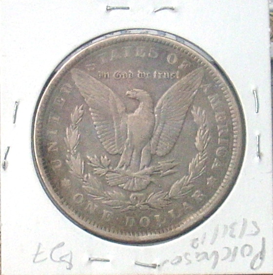 Bought-My-First-Two-Morgans.--How'd-I-Do?