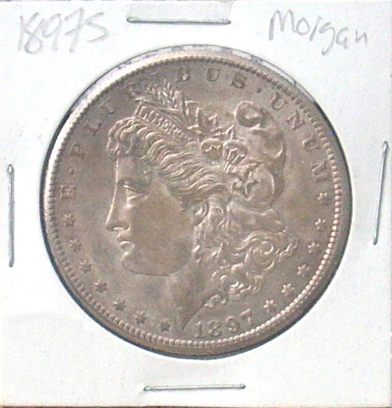 Bought-My-First-Two-Morgans.--How'd-I-Do?