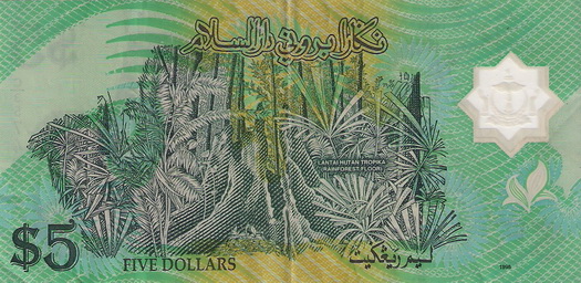 Show-Your-Polymer-Notes