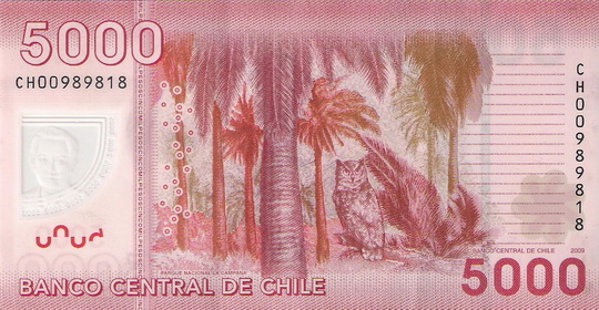 New-Chilean-Polymer