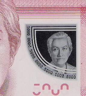 New-Chilean-Polymer