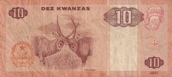 Latest-Addition-To-The-Zoo!
