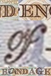 Folding-Money-A-New-Slant