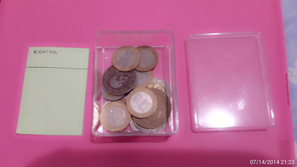 Storing-A-Foreign-Coin-Collection