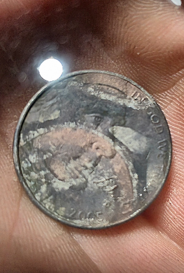 2005-Nickel---Is-This-An-Actual-Error?