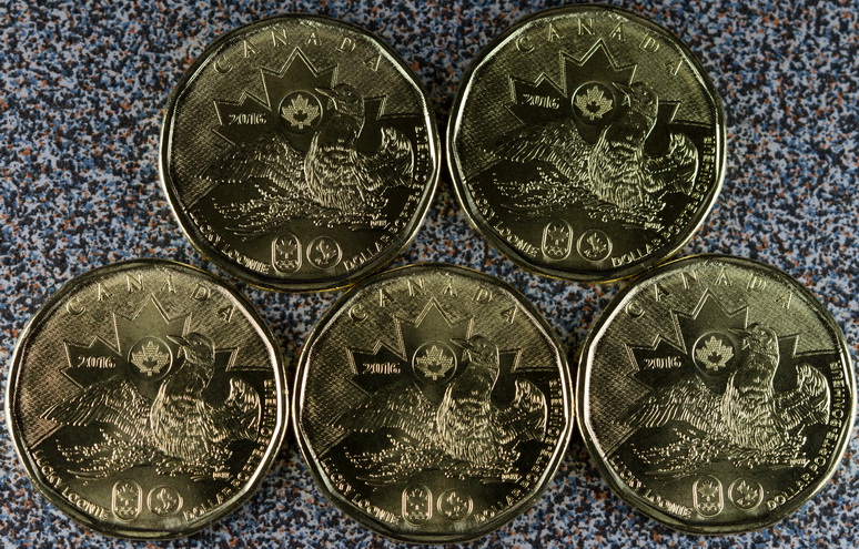 2016-Lucky-Loonie,-Just-Released