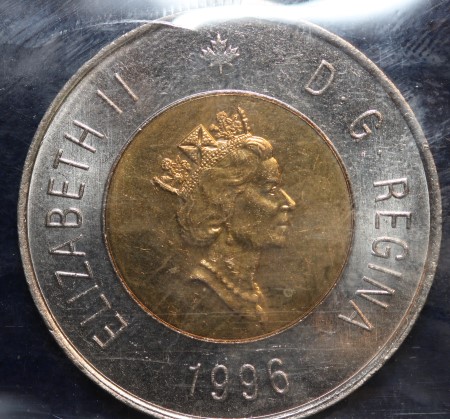 1996-Toonie-Question.