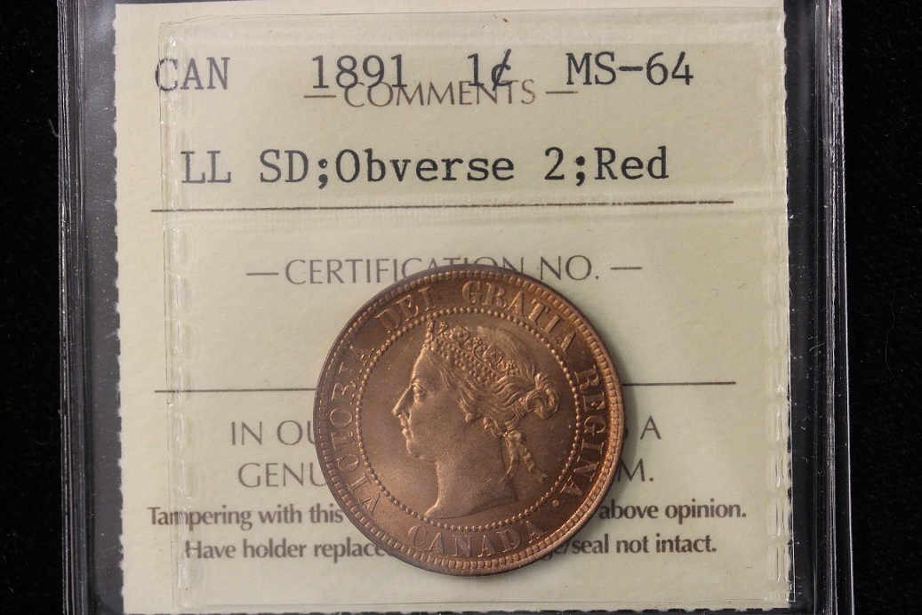 You-Vs-ICCS-1891-Llsd-Cent...to-PCGS-Or-Not-To-PCGS...