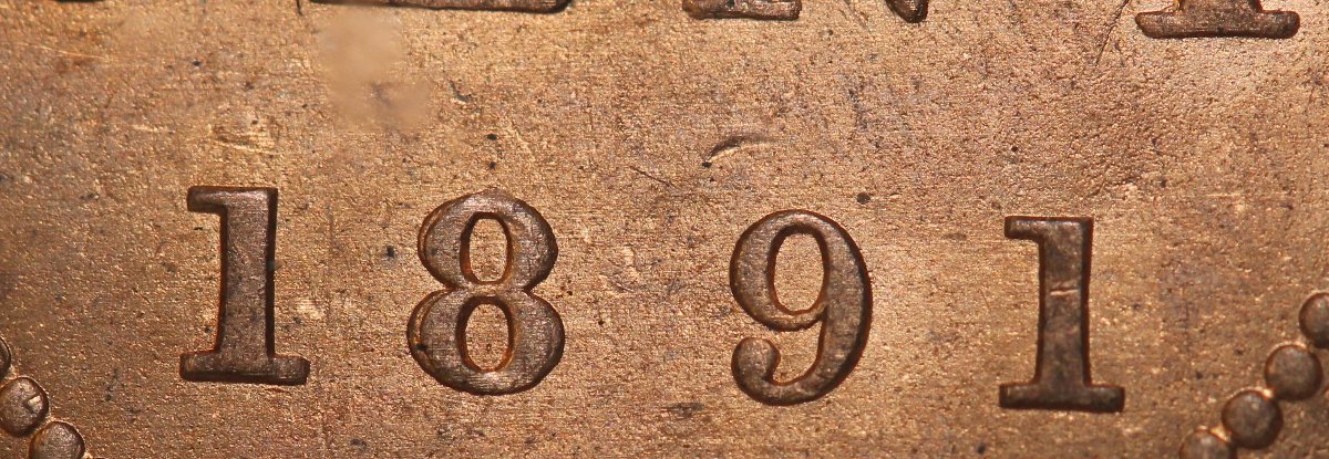You-Vs-ICCS-1891-Llsd-Cent...to-PCGS-Or-Not-To-PCGS...