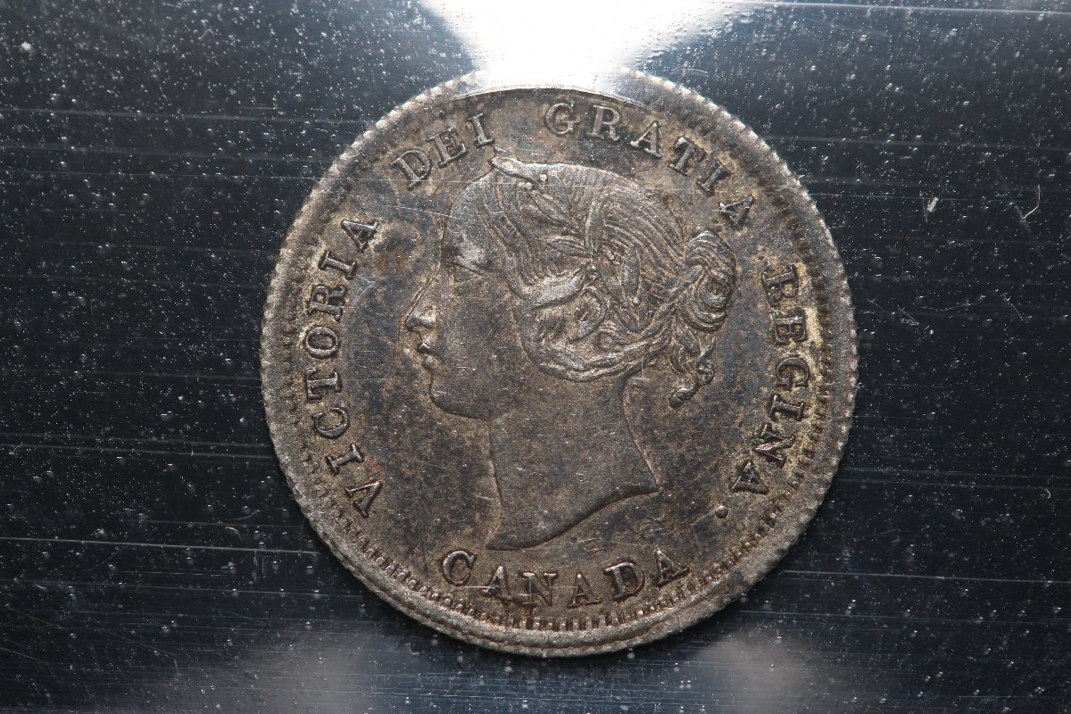 You-Vs-ICCS-1858-5-Cents