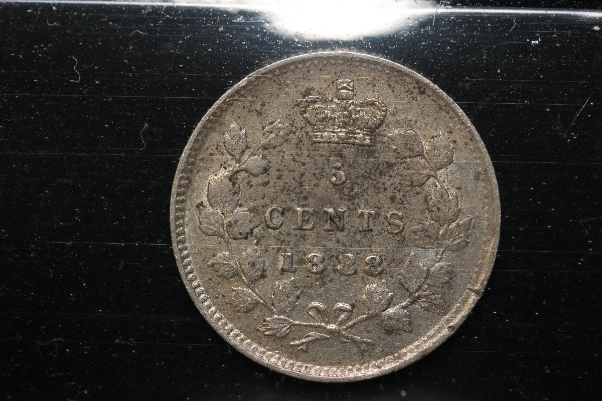 You-Vs-ICCS-1888-5-Cents