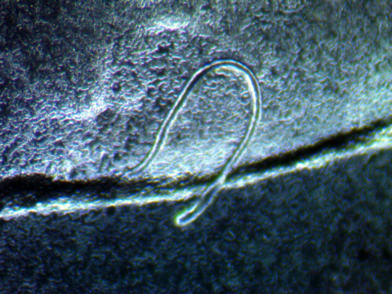 2014-Kennedy-With-Wire-Stamped-In-Tto-Coinh