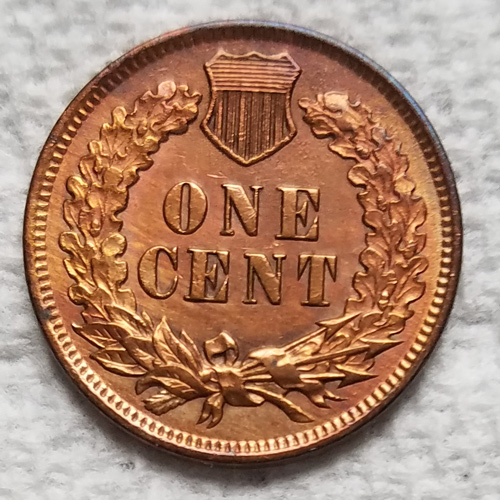 1900-Indian-Head-Cent-I-Just-Picked-Up