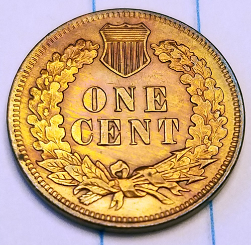 1900-Indian-Head-Cent-I-Just-Picked-Up