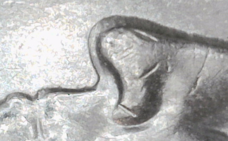 2001-D-Rhode-Island-Double-Question