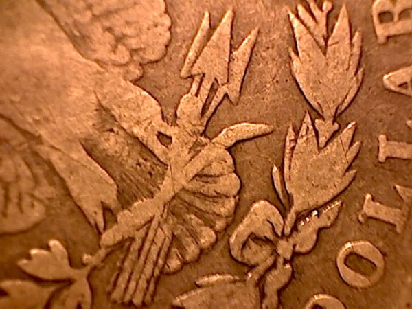1878-Morgan-Which-Reverse?