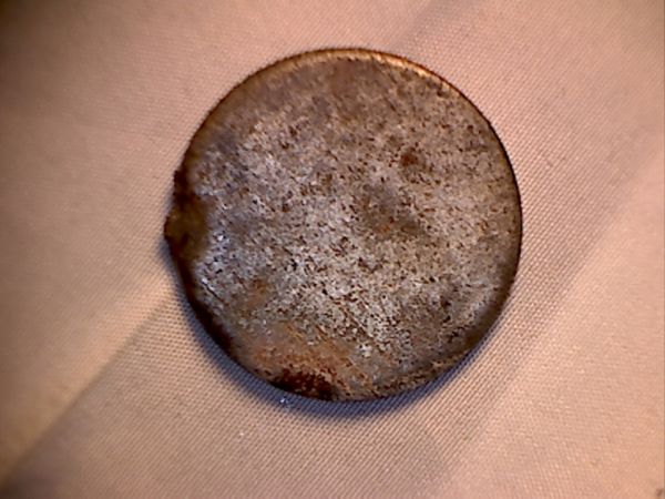 Bald-Buffalo-Nickel?