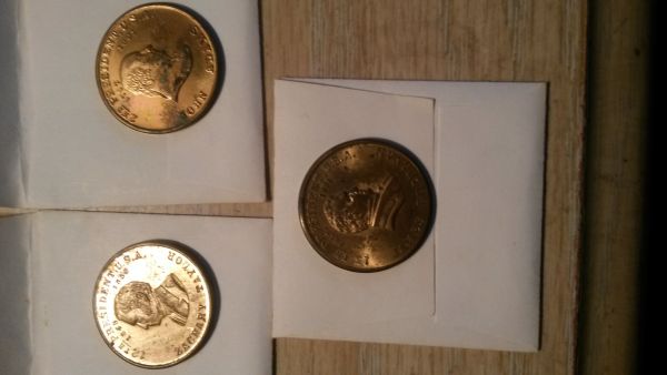 Check-Out-My-Presidential-Token-Display