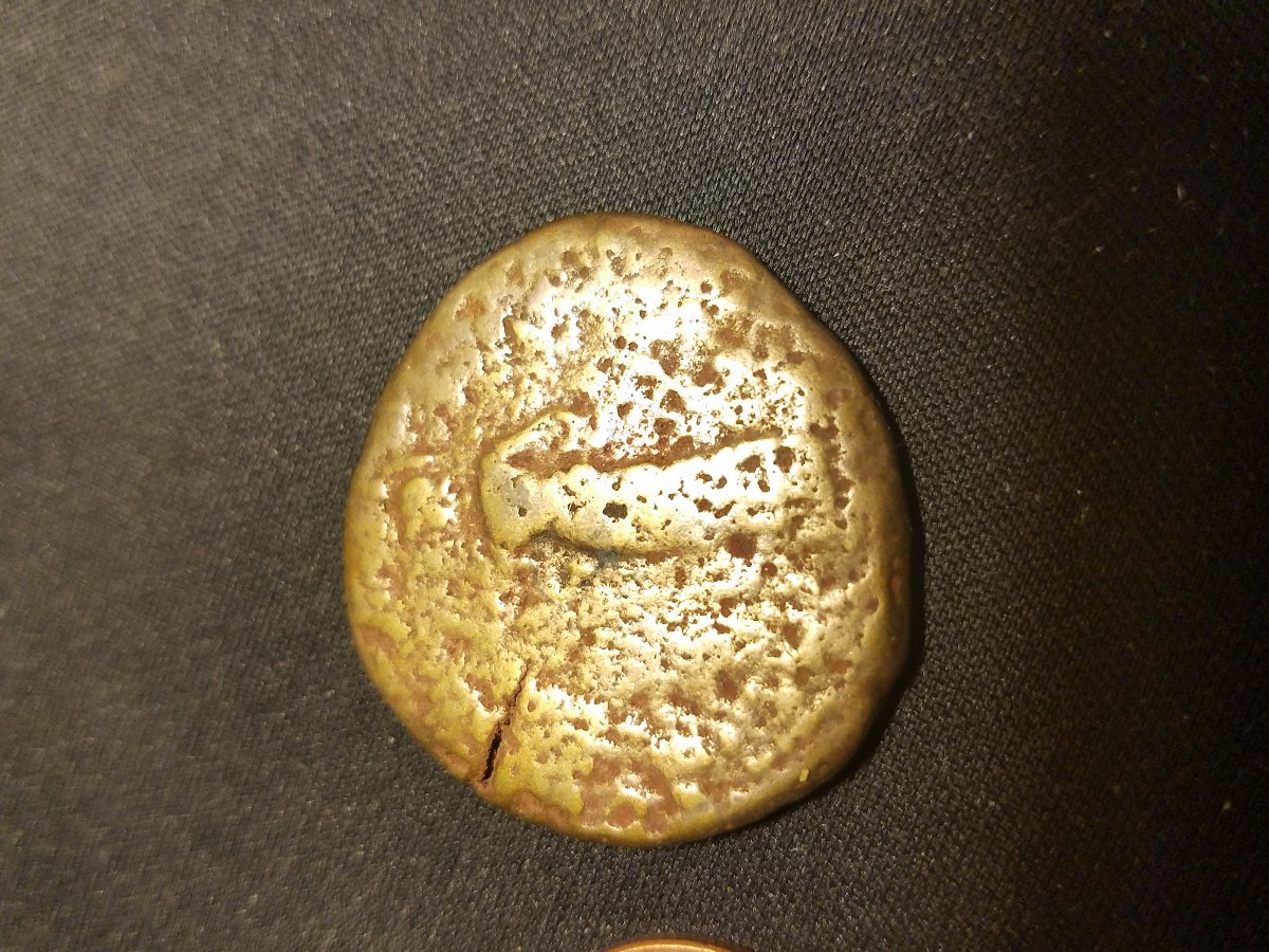 Can-Anyone-ID?-Bout-The-Size-Of-A-Half-Dollar