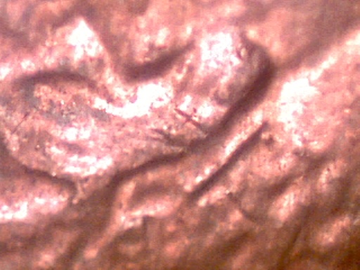1984-P-Lincoln-Cent-Help-Identifying-Ear-Issue