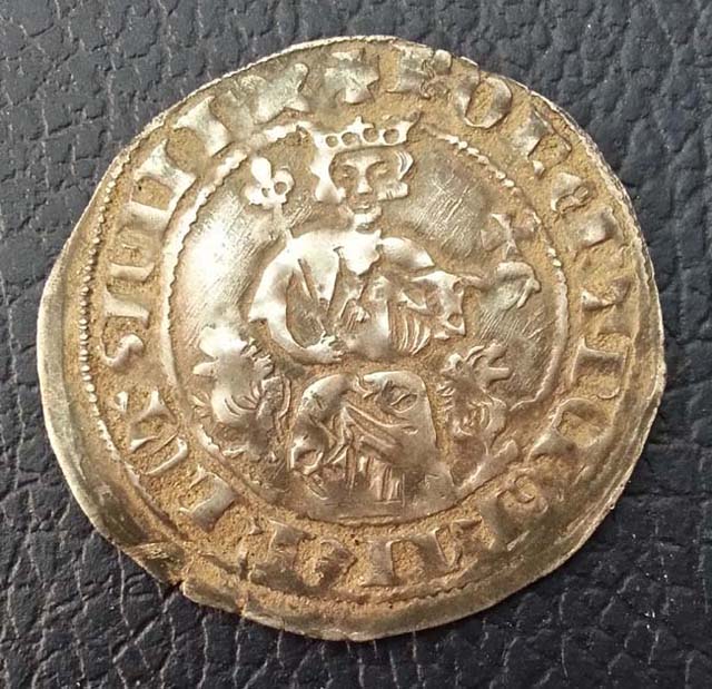 Help-ID-Italian-Gigliato-Silver-Coin-3