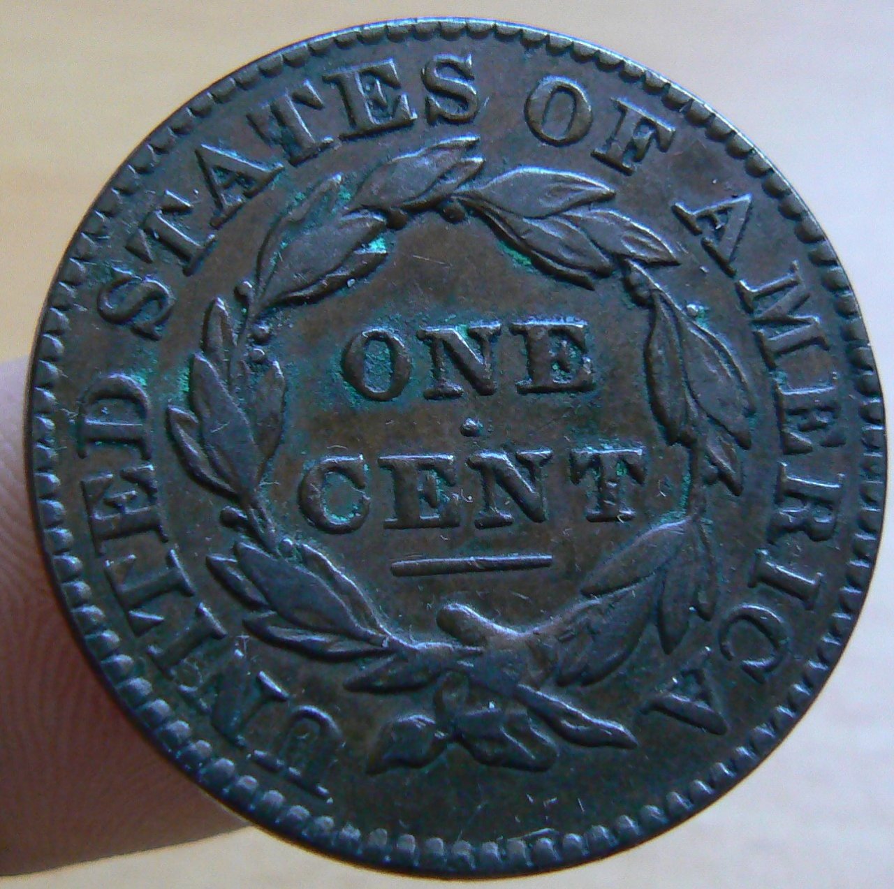 Coronet-Cent-1831-Opinions-On-Grade