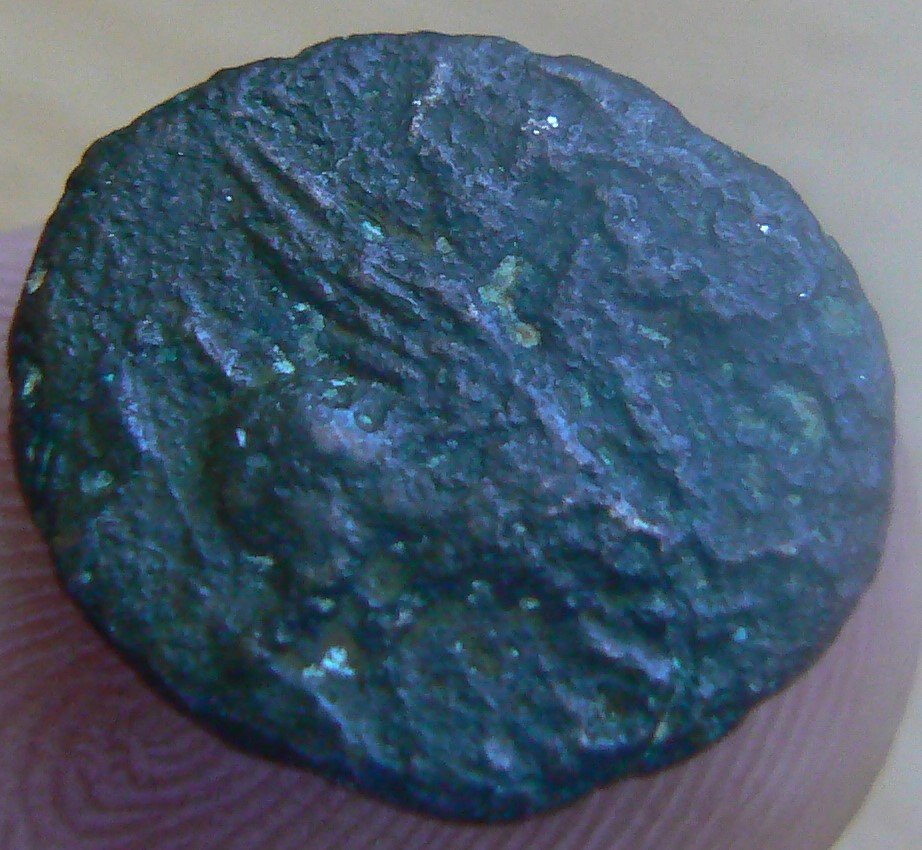 Roman-Coin-Pegasus-And-Lion?