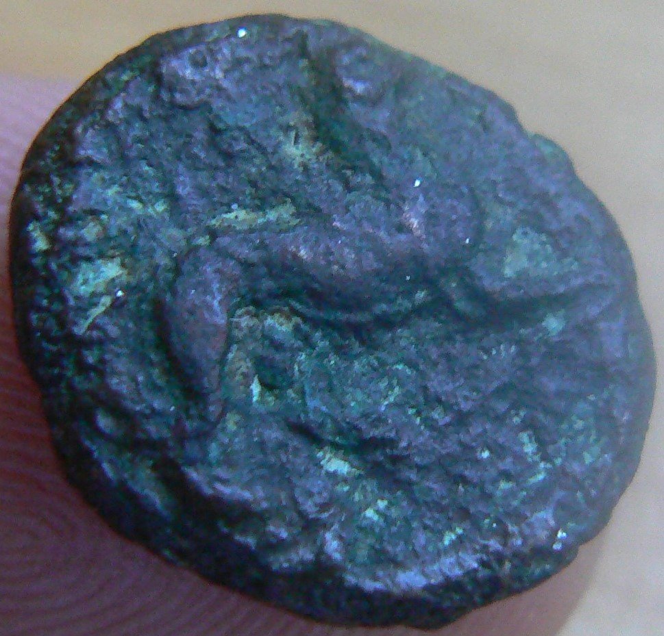 Roman-Coin-Pegasus-And-Lion?