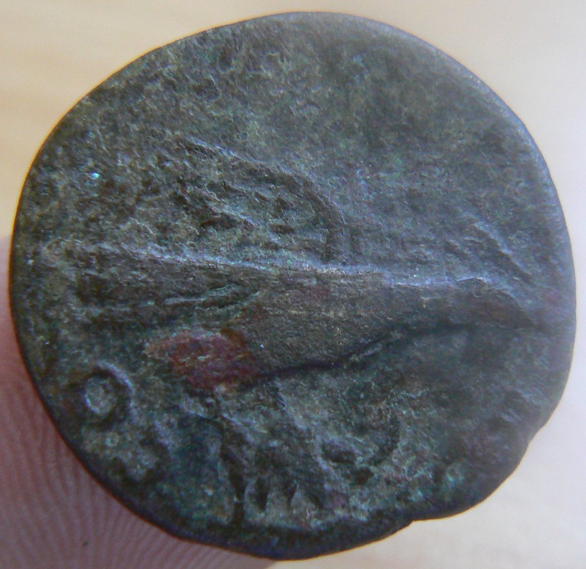 Is-This-A-Domitian-Raven-Coin?