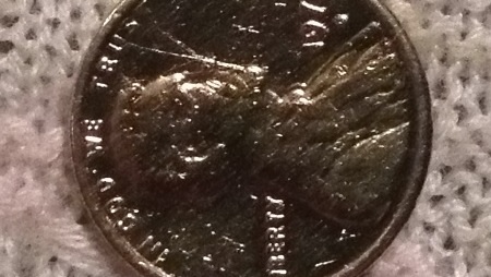 Gold-Looking-Penny-Better-Pics