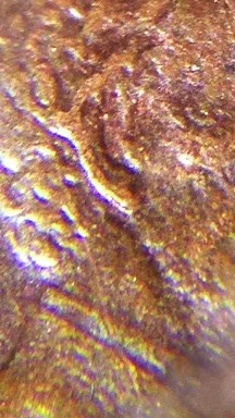 1984-Lincoln-Double-Ear?