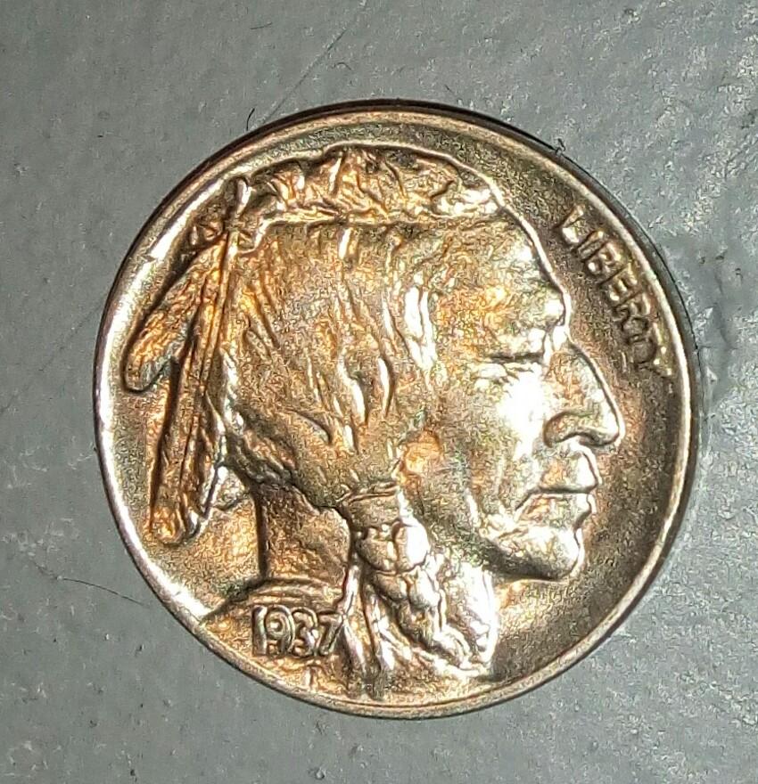 Would-Like-To-Buy-Buffalo-Nickels-For-My-Collection.
