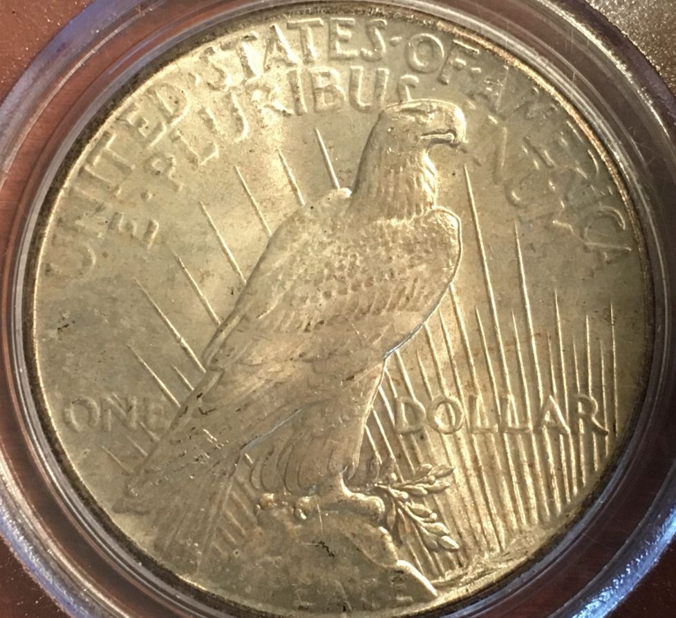 Post-Your-Latest-Peace-Dollar-Aquisition