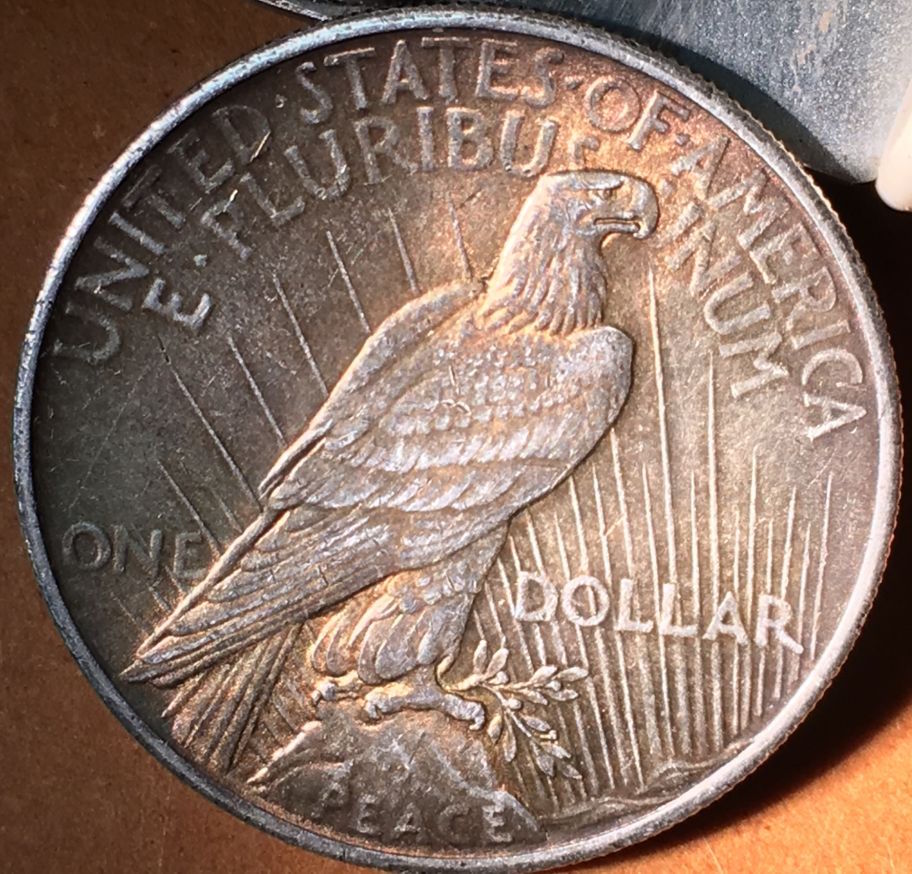 Post-Your-Latest-Peace-Dollar-Aquisition