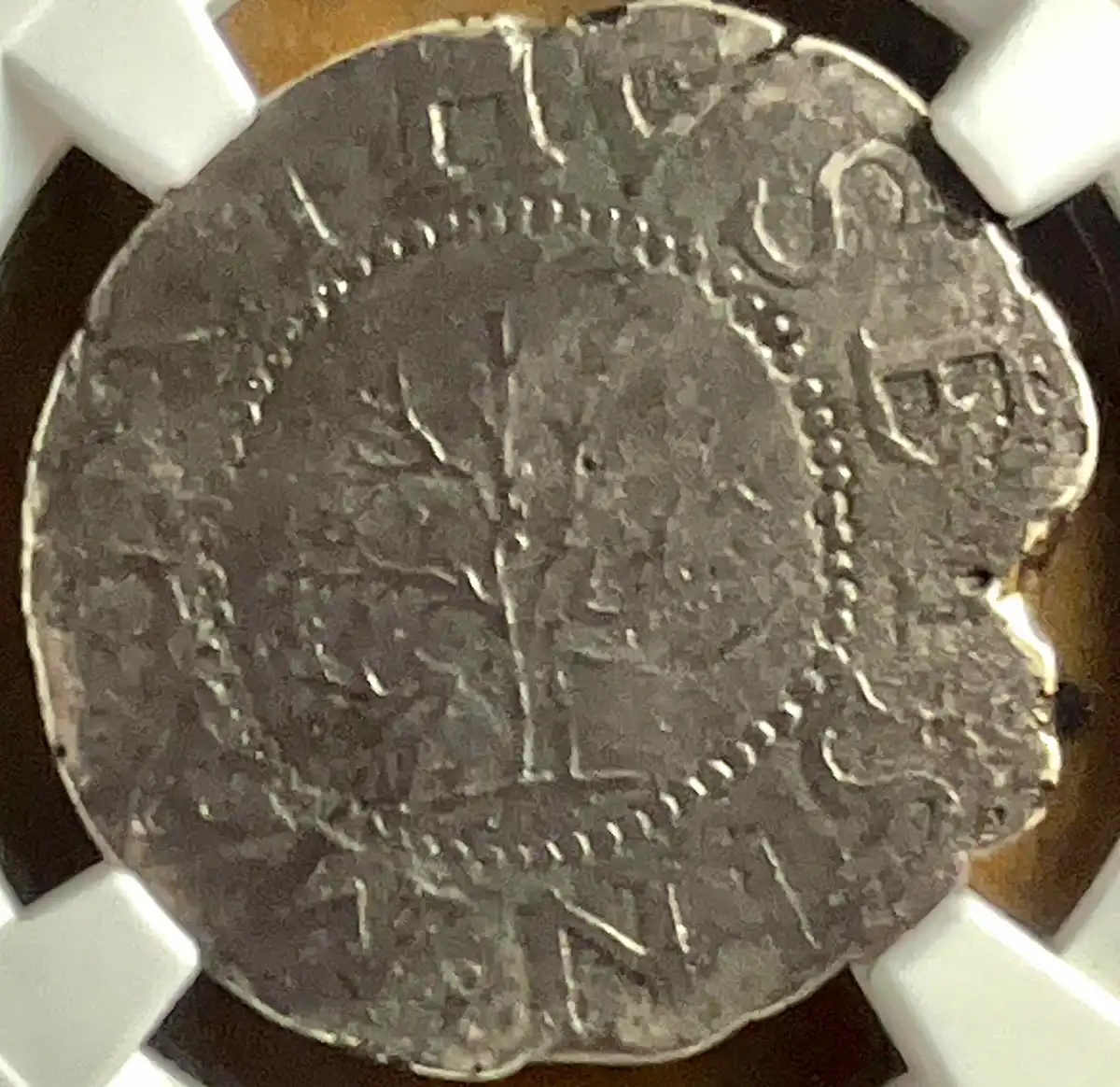 The-Notorious-Massachusetts-Oak-Tree-Shilling