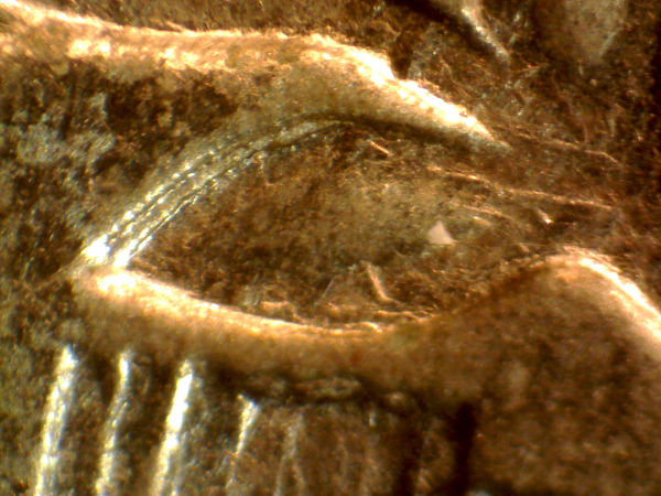 1997-Washington-Quarter-DDR/Double-Die-Reverse?