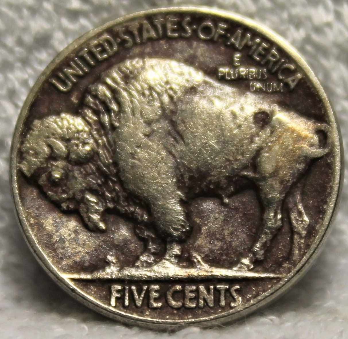 1913-Type-2-Buffalo-Nickel---Opinions-Please.