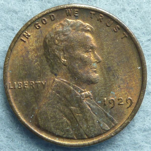 Woody-Or-Toning?